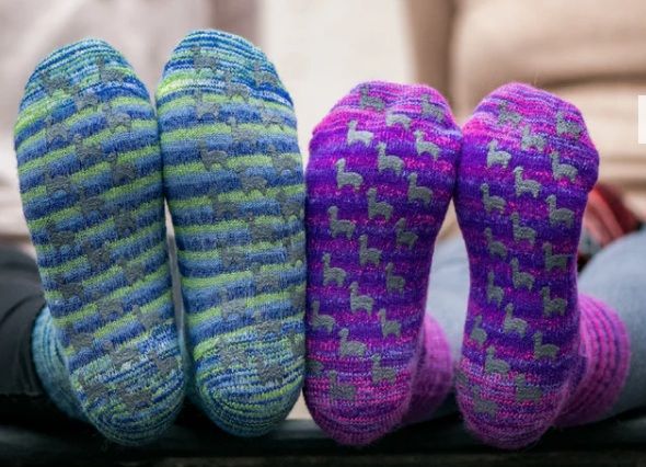 Multi Alpaca Slipper Socks