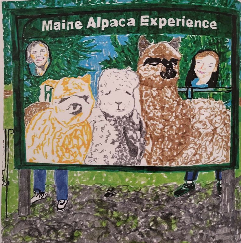 Where are the alpacas book