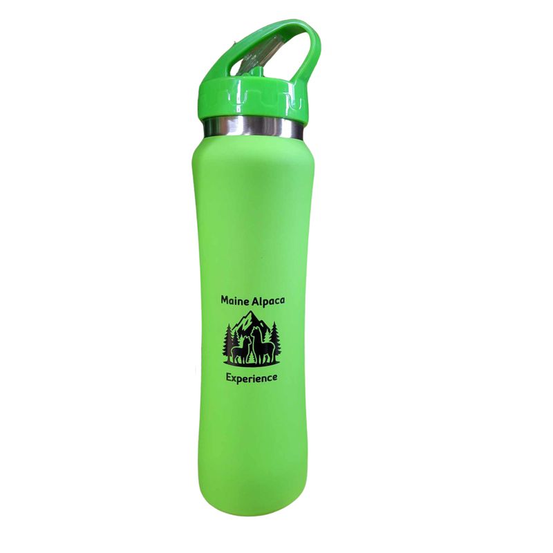 Stainless Steel Bottle 25 oz
