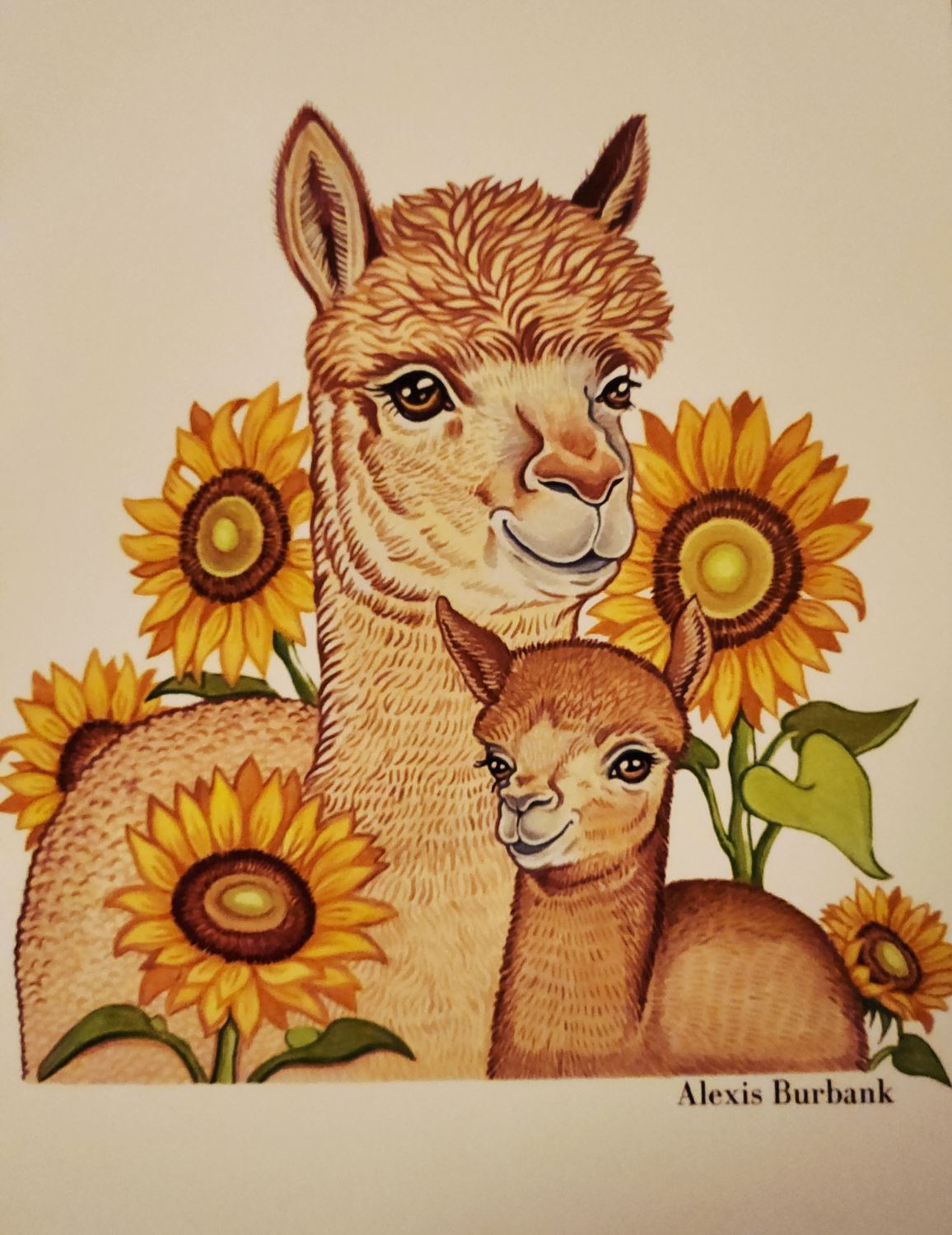 Greeting Cards by Alexis Burbank
