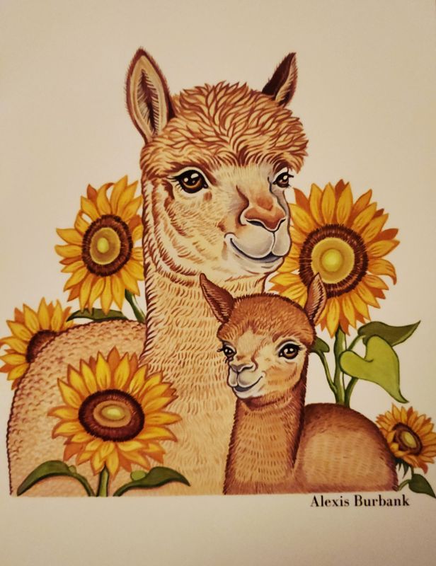 Greeting Cards by Alexis Burbank