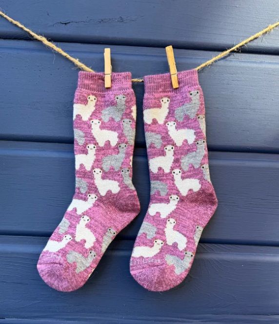 Motif Sock Jr