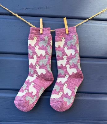 Motif Sock Jr