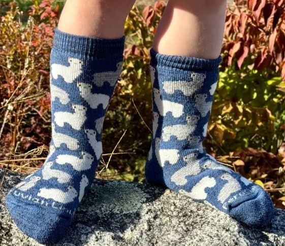 Motif Sock Jr, Color: Denim, Size: 4-6
