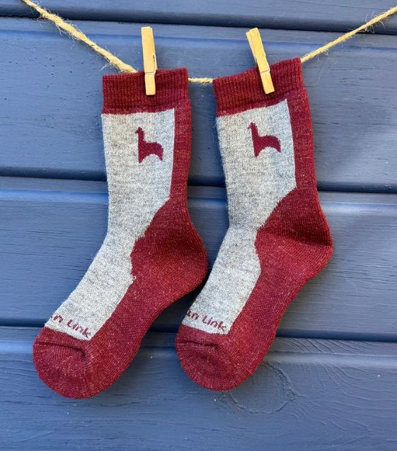 Hiker Jr, Color: Cherry, Size: 4-6