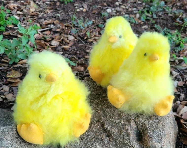 Baby Fur Chick