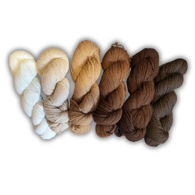 Northern Solstice Homegrown Yarn 2025