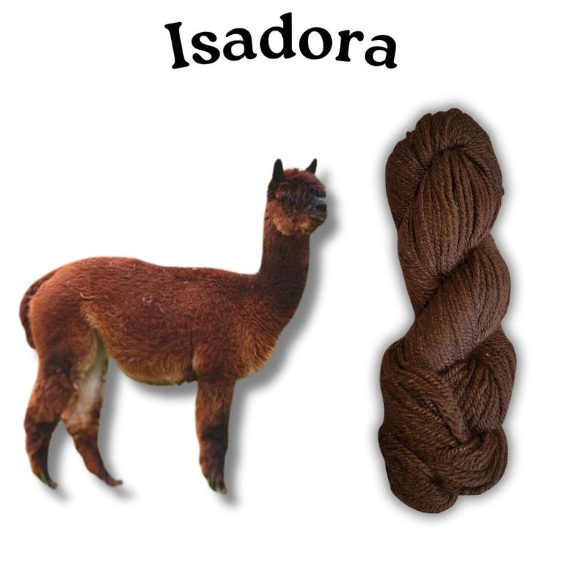 Northern Solstice Homegrown Yarn 2025