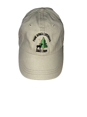 Baseball Cap with logo