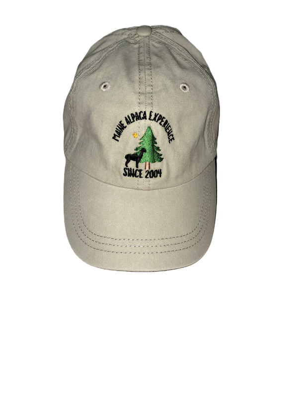 Baseball Cap with logo