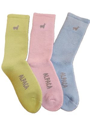 Everest Sock
