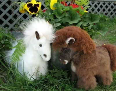 Alpaca Pony