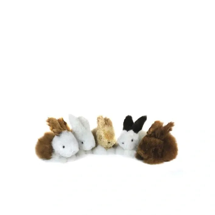 Baby Bunny