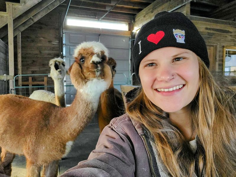 I love  Alpaca Hat