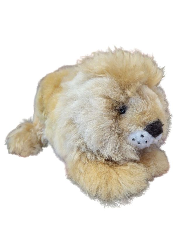 Lion Lying