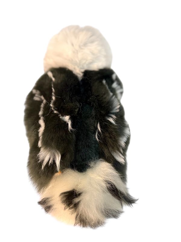 Alpaca Fur Eagle