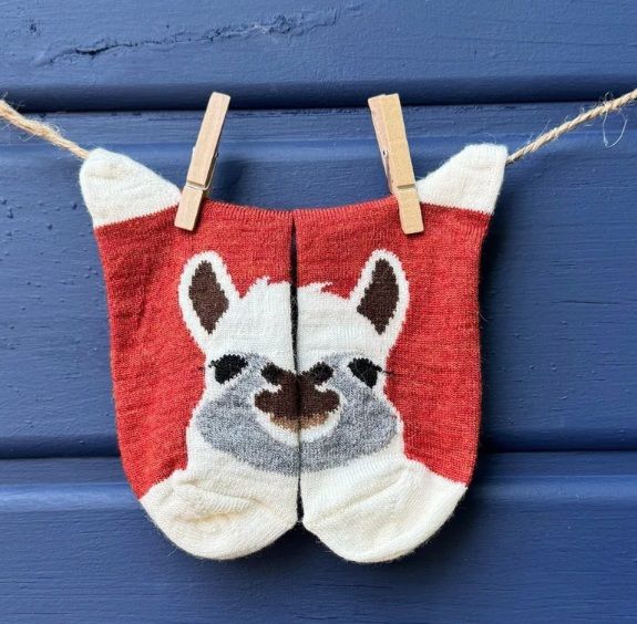 Alpaca Face Sock Jr, Color: Copper, Size: 4-6