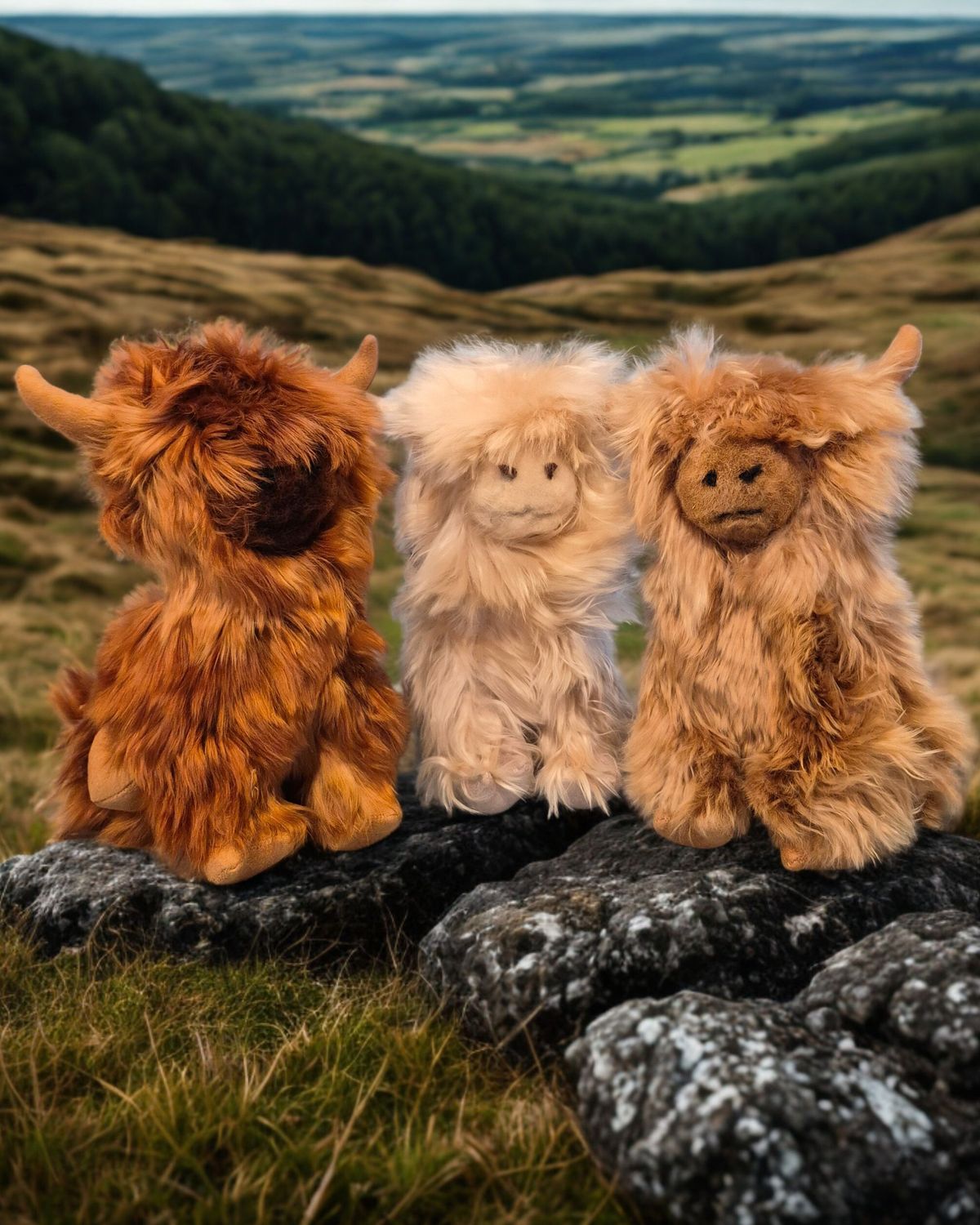 Scottish Highland Cattle Alpaca fur