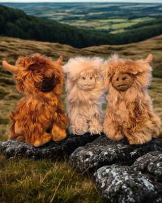 Scottish Highland Cattle Alpaca fur