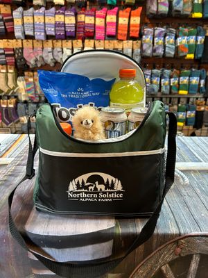 Insulated Lunch Cooler