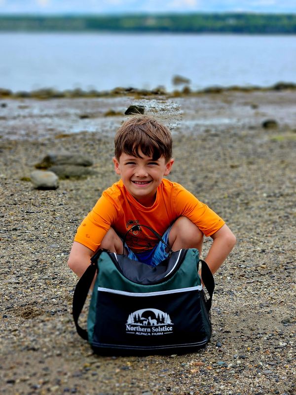Insulated Lunch Cooler