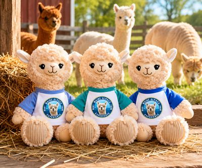 Plush Alpaca 9" w/Shirt