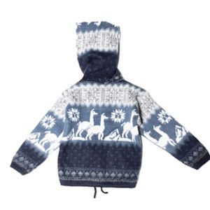 Kid's Andes Zip Hoodie, Color: Blue, Size: 12-18 mos