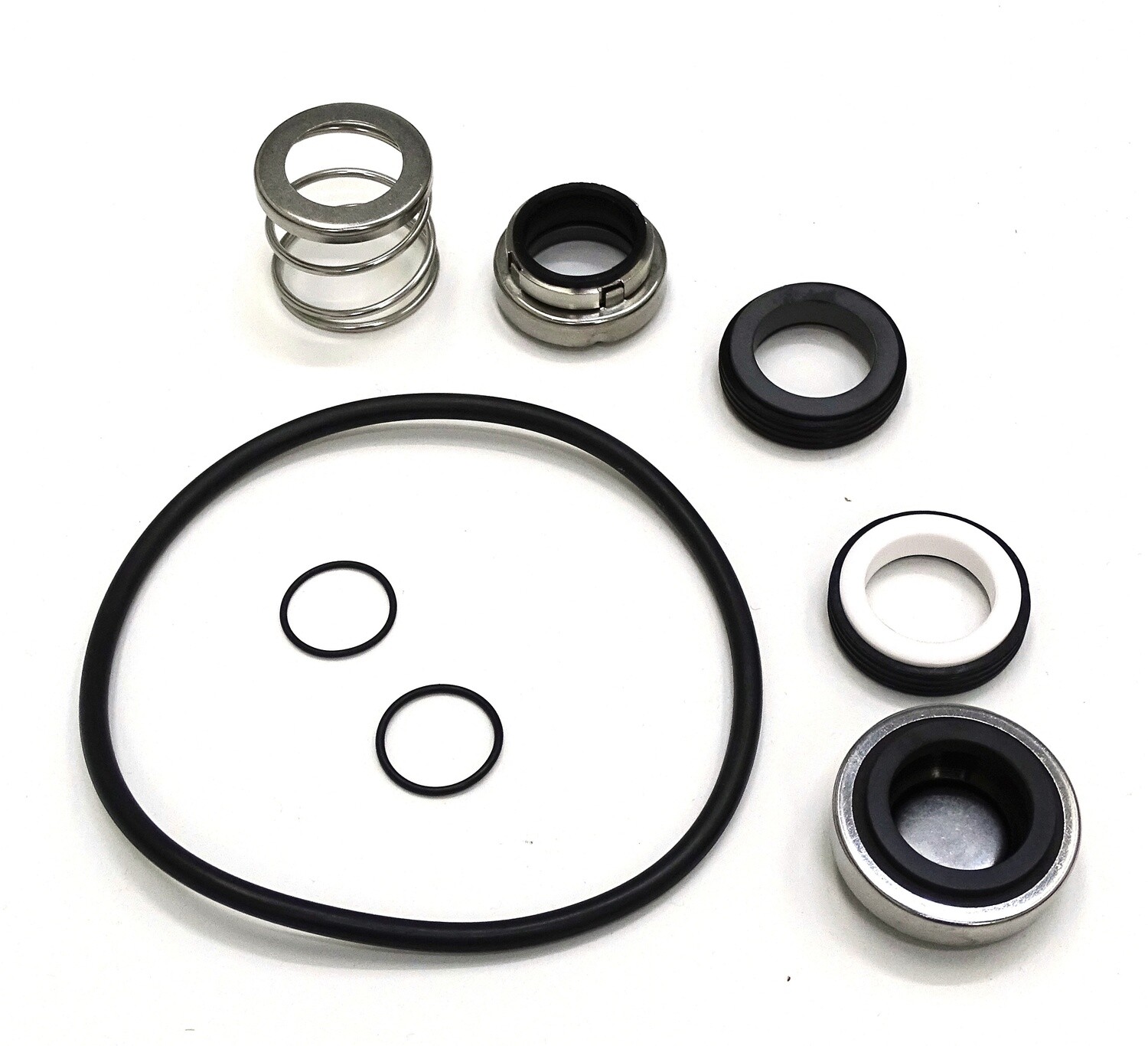 SEAL KIT for TECO PUMP - SW132