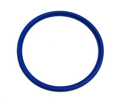 DIN 100 O-Ring