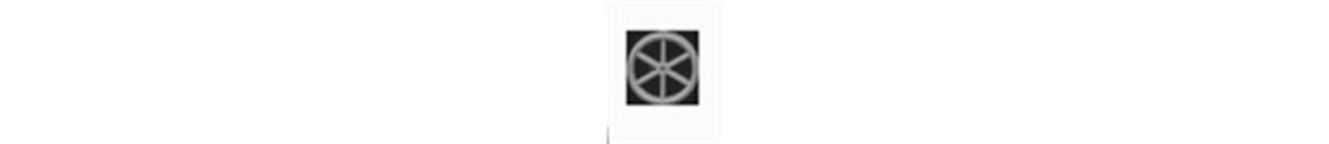 6&quot; BRAKEWHEEL O