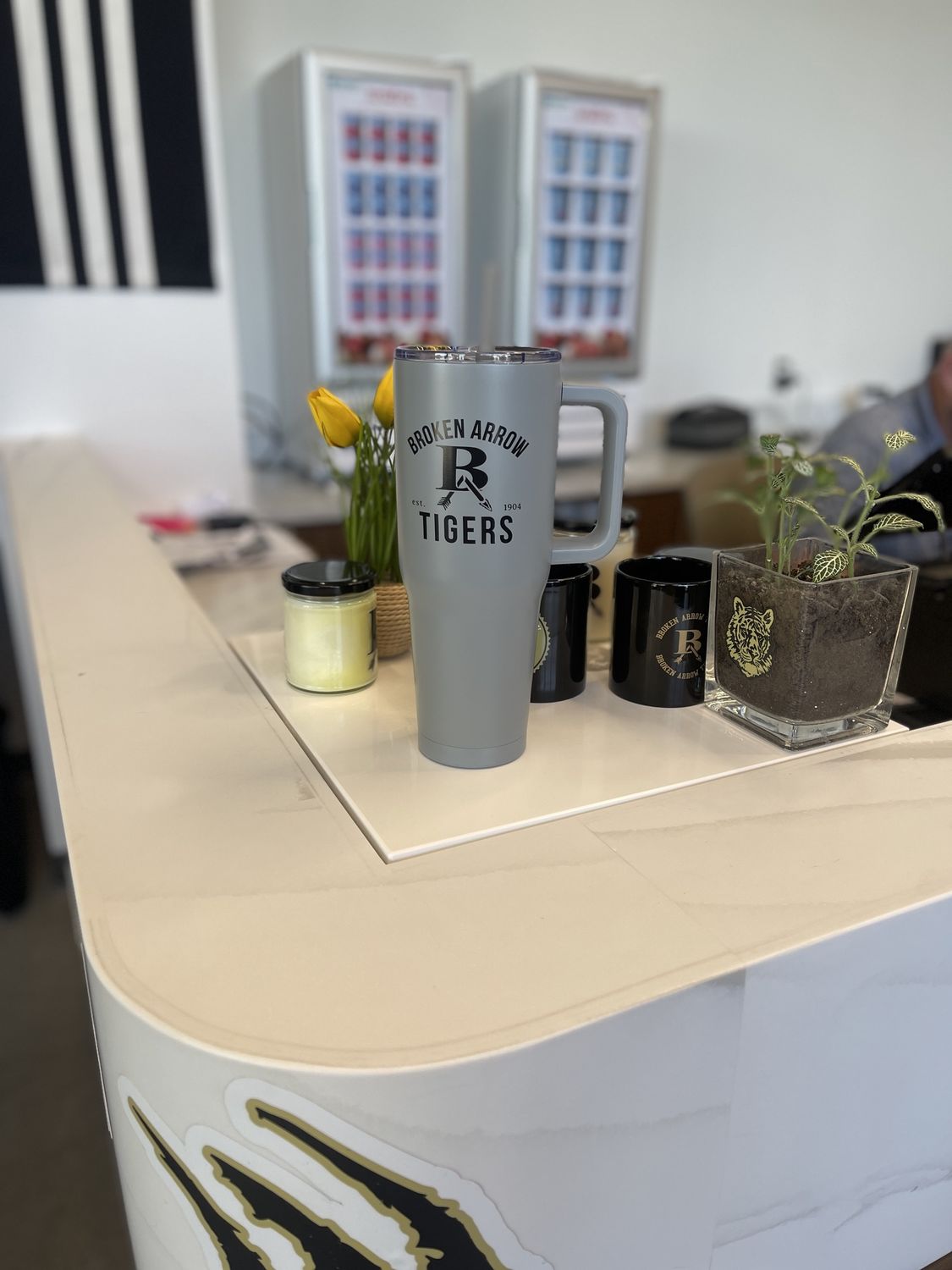 VIKING NOVA TUMBLER WITH HANDLE