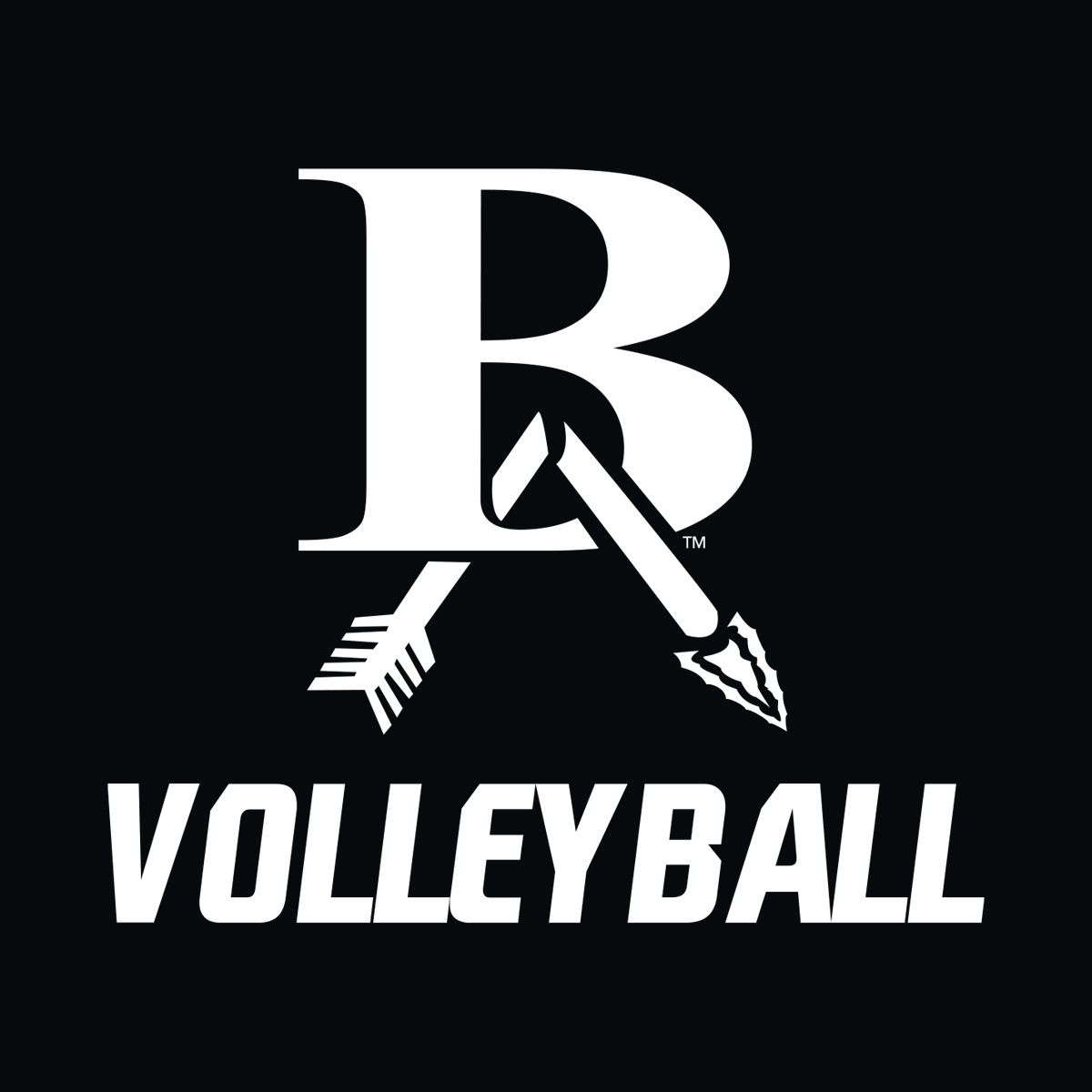 Volleyball Decal