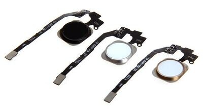 iPhone 5S Homebutton