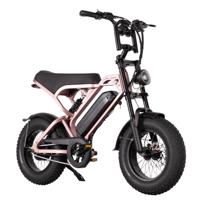 V20 Mini Champagne pink