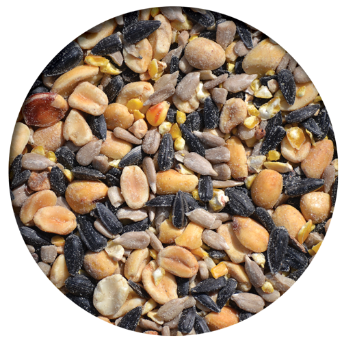 Gourmet Woodpecker Mix