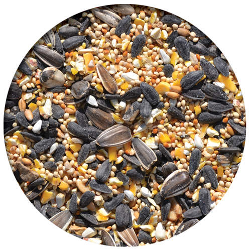 Premium Wild Bird Seed Mix