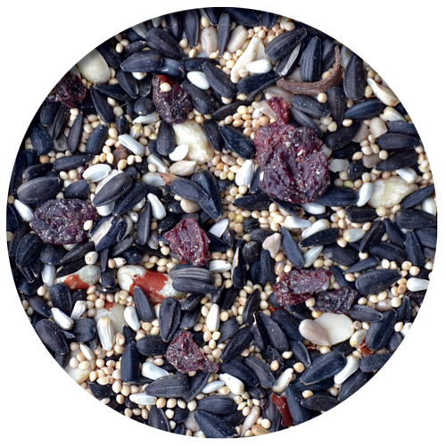 Chickadee Blend w/Fruit