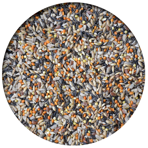 Wild Finch Plus Mix
