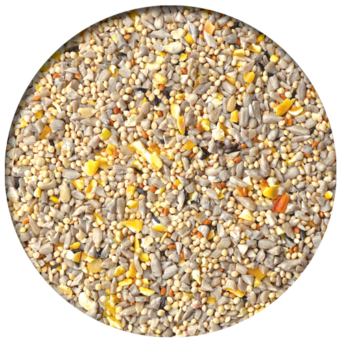 Gourmet No Waste Wild Bird Seed