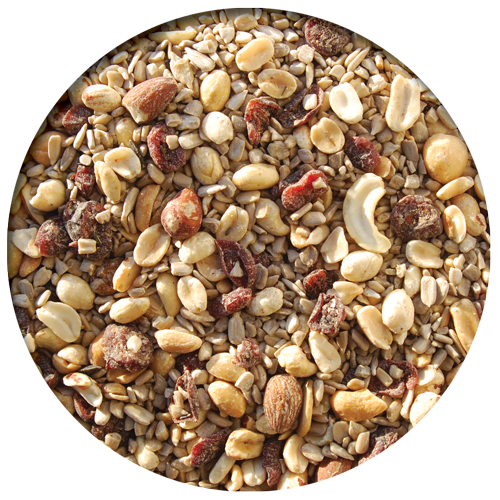 Sunflower Meats, Nuts and Fruit - PATIO MIX