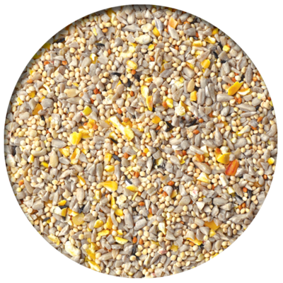 Gourmet No Waste Wild Bird Seed