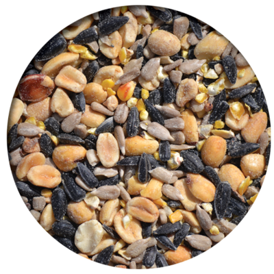 Gourmet Woodpecker Mix