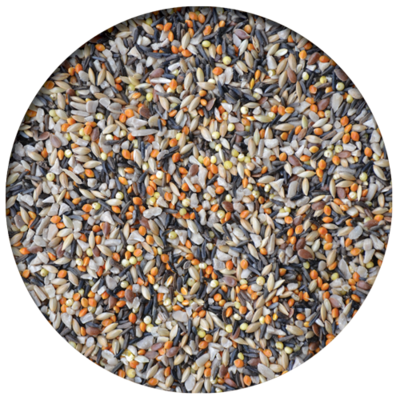Wild Finch Plus Mix