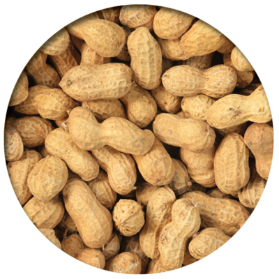 Peanuts - Raw in Shell