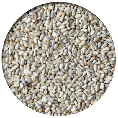 Safflower