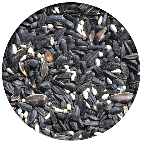 Cardinal Wild Bird Mix