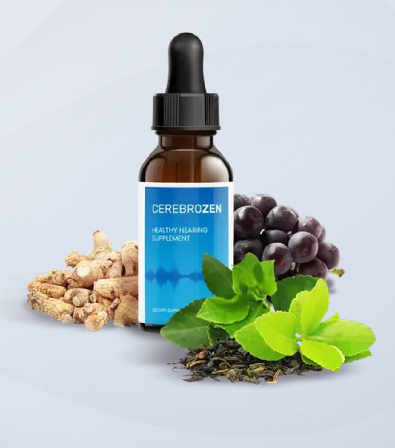CerebroZen Hearing Support