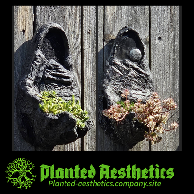 Sculpted Planters - Design Consultation