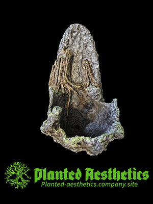 Root Over Rock 02 - Hanging Sconce Planter