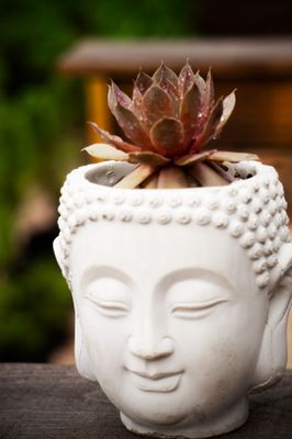 Buddha Relic Cement Pot
